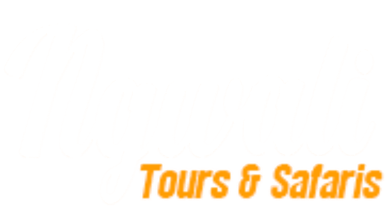 NGWALI TOURS AND SAFARI