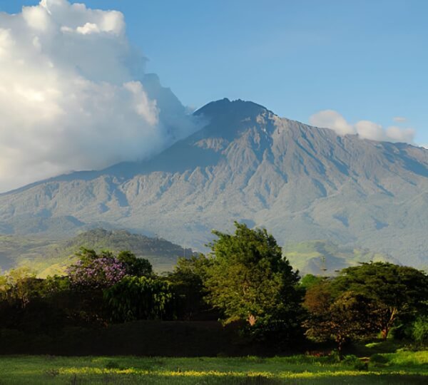 steptodown.com650283 (1)