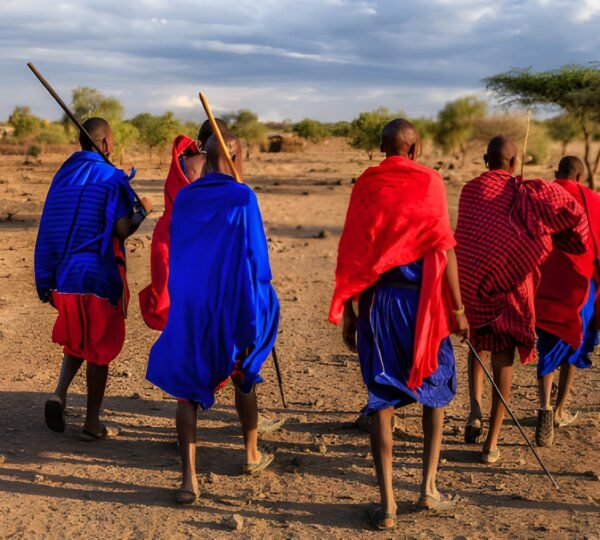 steptodown.com879746