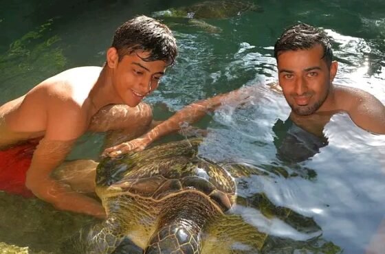 Turtle Aquarium Tour