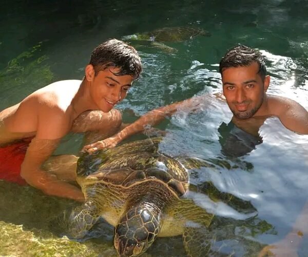 Turtle Aquarium Tour